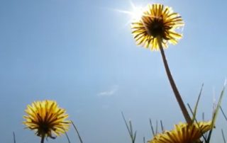 ¡Bienvenido verano! Consejos desde la Medicina China