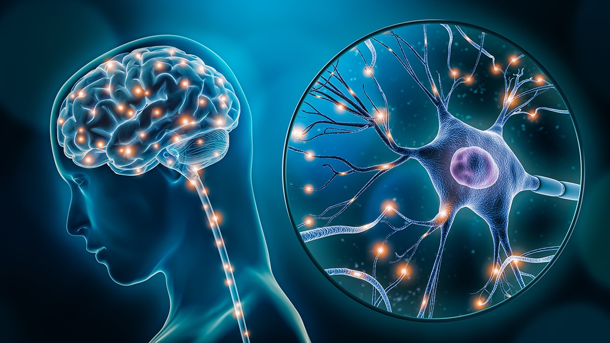 Electroacupuntura craneal en el tratamiento de la enfermedad de Parkinson: revisión sistemática y metaanálisis
