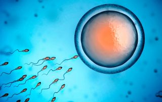 La electroacupuntura incrementa la tasa de fertilidad y el número de ovocitos maduros en los procesos de fecundación in vitro