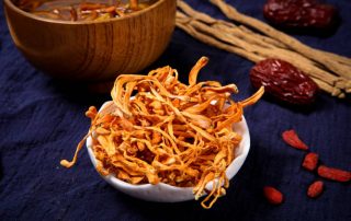 CORDYCEPS: El hongo medicinal de los emperadores y de la longevidad