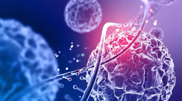 Optimización Celular Avanzada: medicina preventiva e integrativa de alto nivel para quienes exigen más